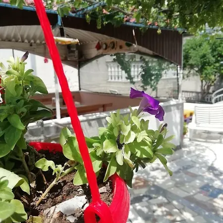 Lucija 2 Apartamento Solin