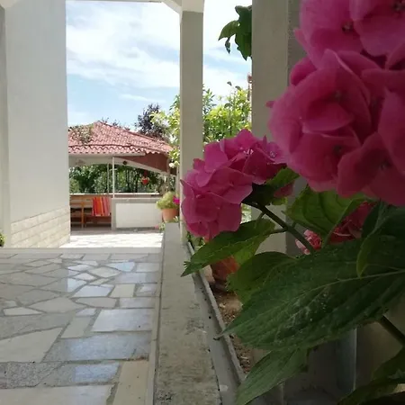 Apartment Lucija 2 *
