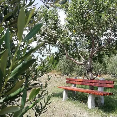 Lucija 2