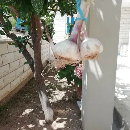 Lucija 2 Apartment *